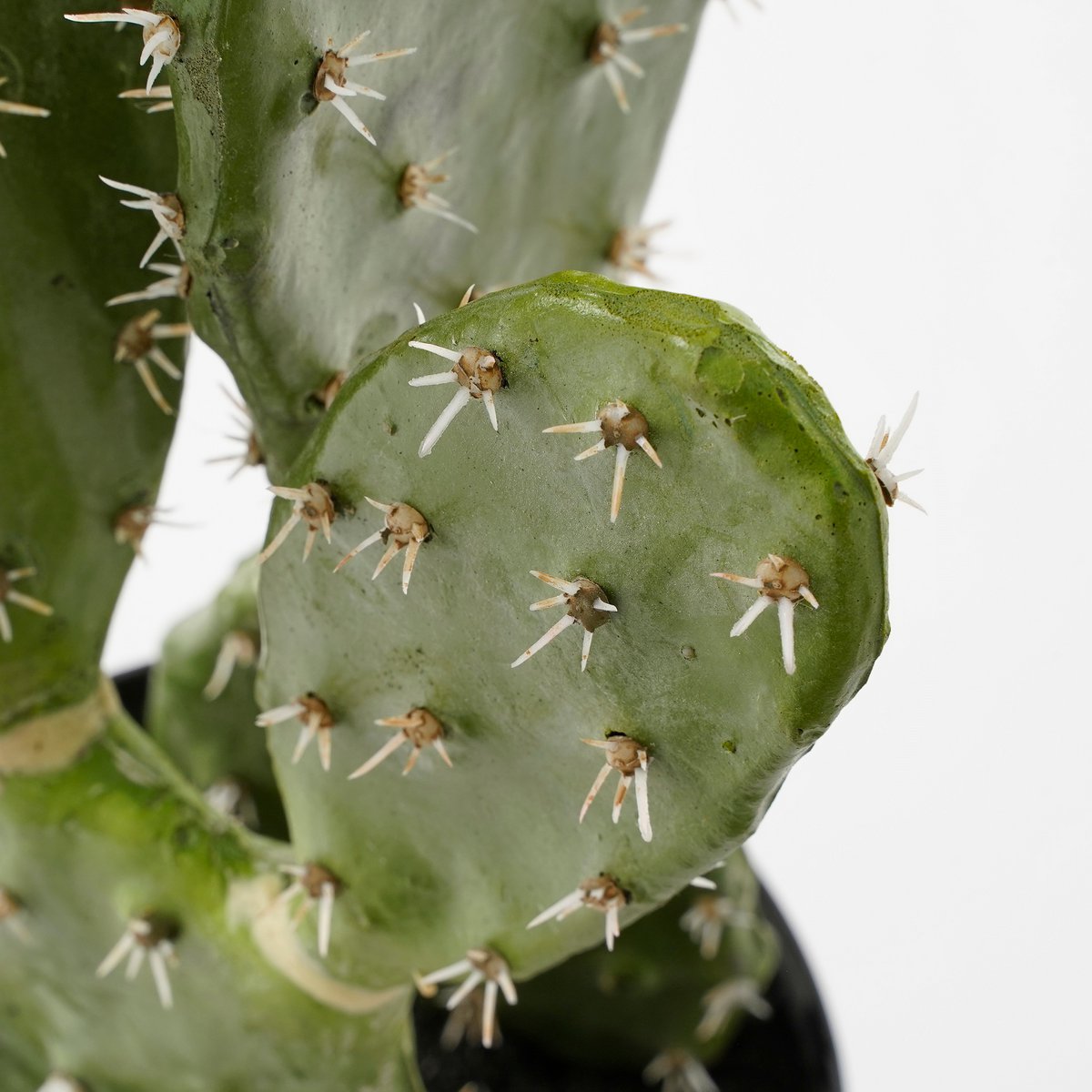 Cactus Kunstplant in Bloempot - H50 x Ø25 cm - Groen