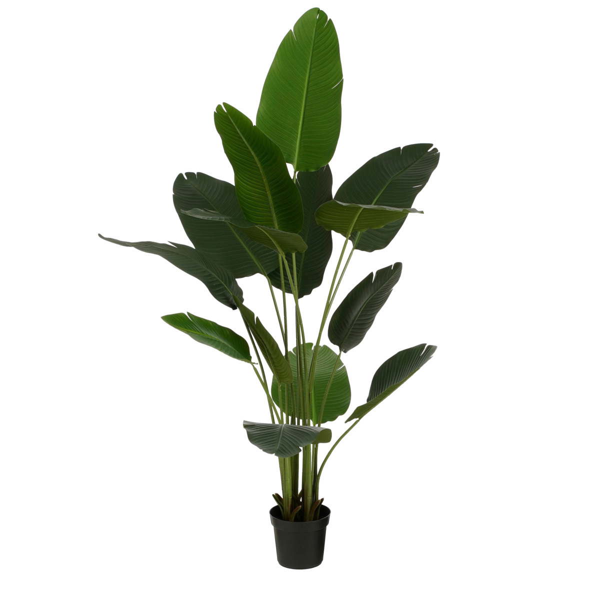Kunstplant Bananenboom in Pot - H180 x Ø30 cm - Groen