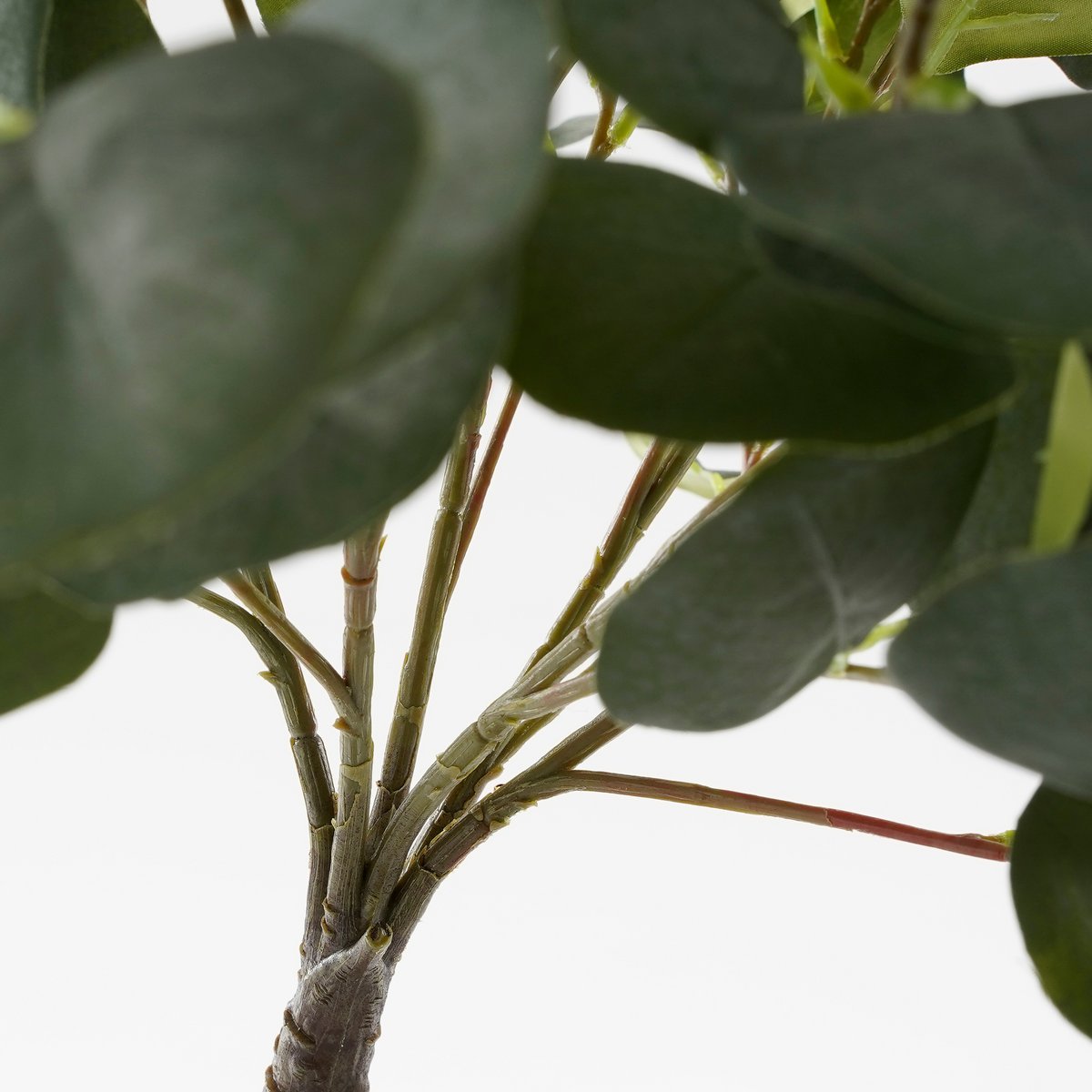 Eucalyptus Kunstplant in Bloempot - H75 x Ø15 cm - Groen