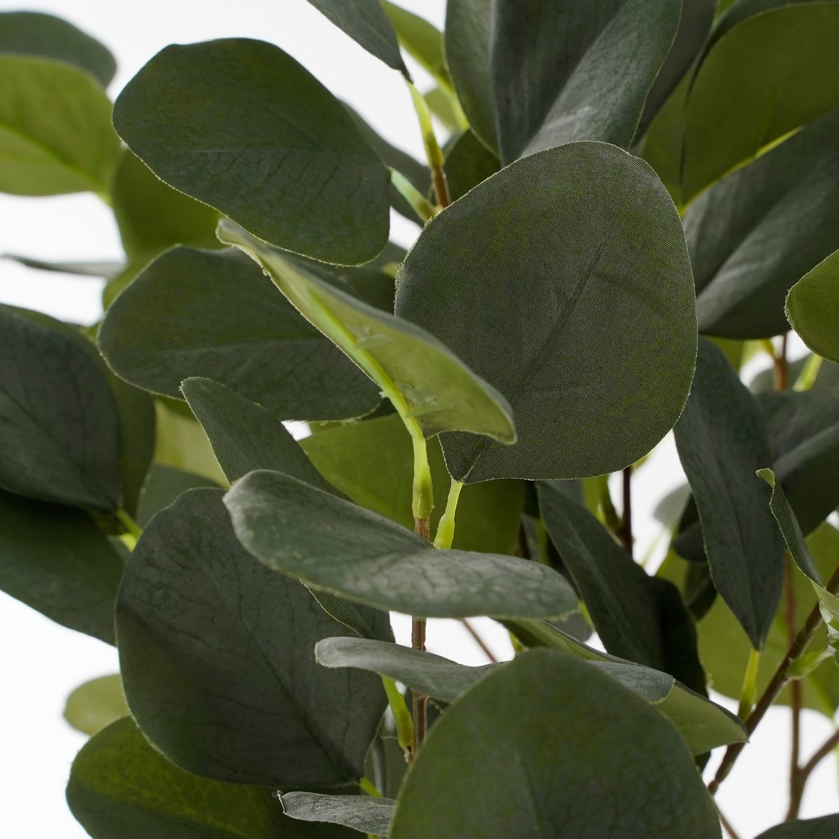 Eucalyptus Kunstplant in Bloempot - H75 x Ø15 cm - Groen