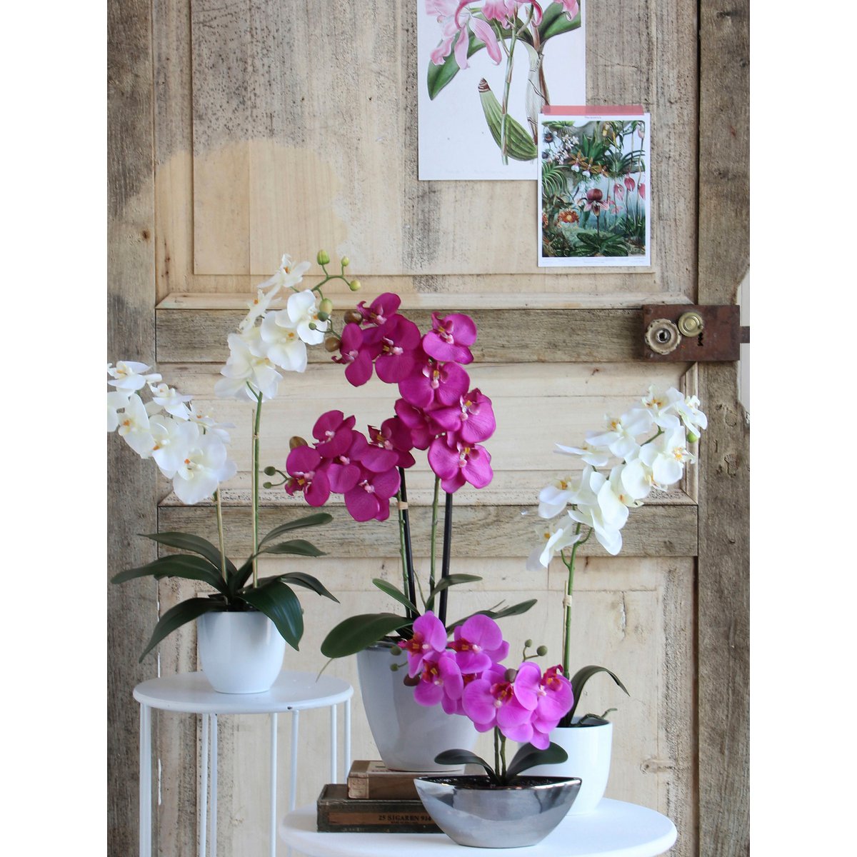 Phalaenopsis Kunstplant in Bloempot Tusca - H60 x Ø16 cm - Wit