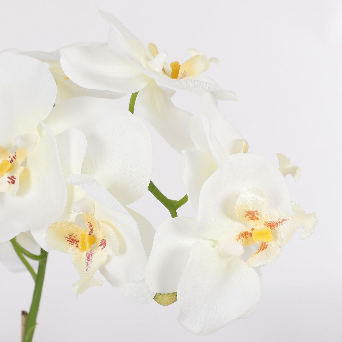 Phalaenopsis Kunstplant in Bloempot Tusca - H60 x Ø16 cm - Wit
