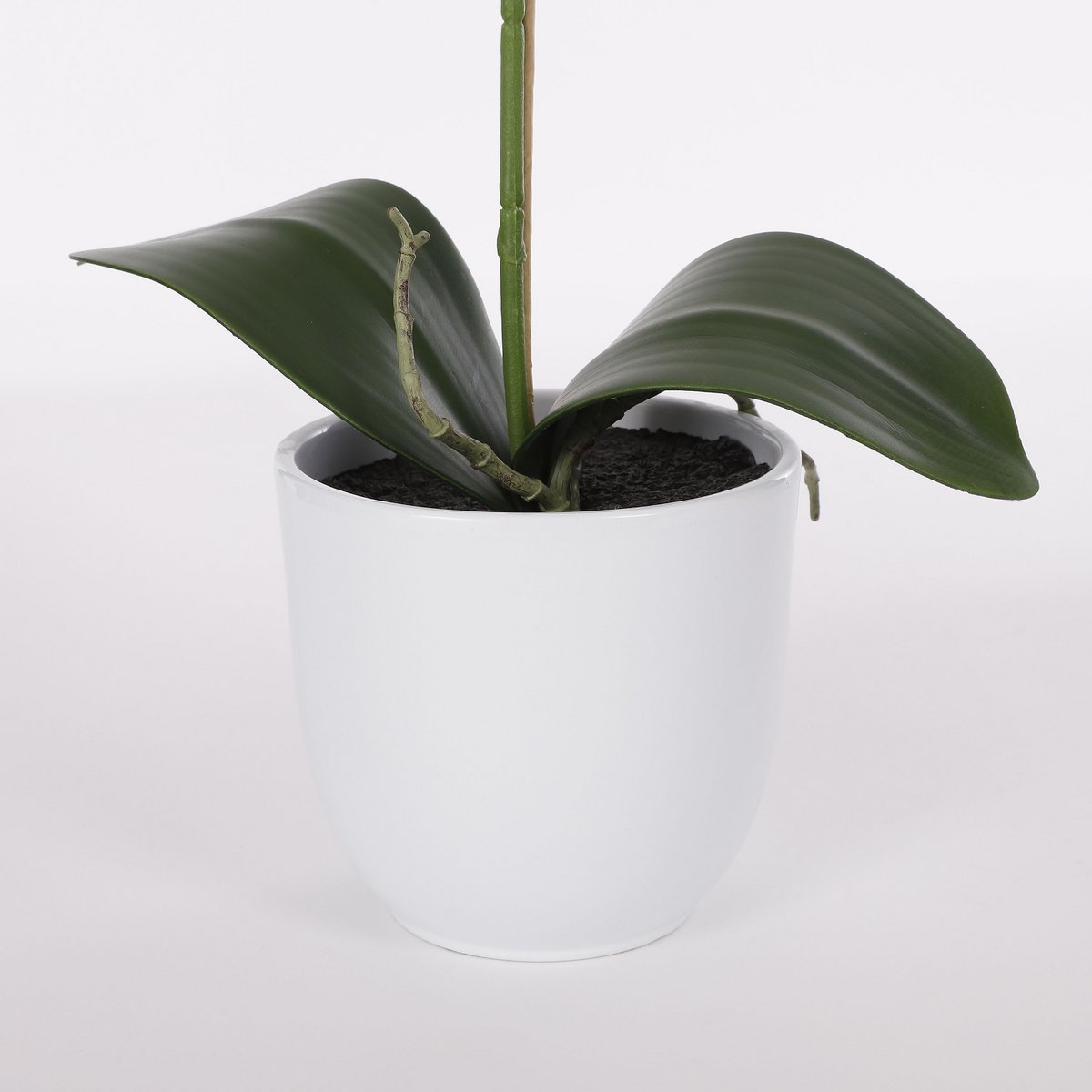 Phalaenopsis Kunstplant in Bloempot Tusca - H60 x Ø16 cm - Wit