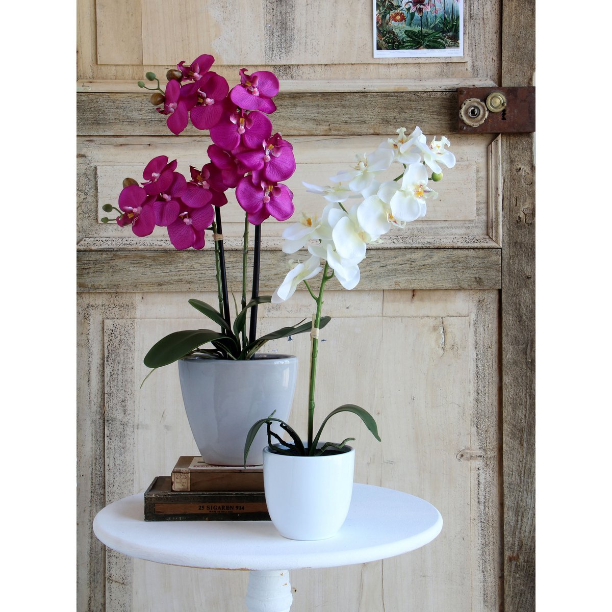 Phalaenopsis Kunstplant in Bloempot Tusca - H60 x Ø16 cm - Wit