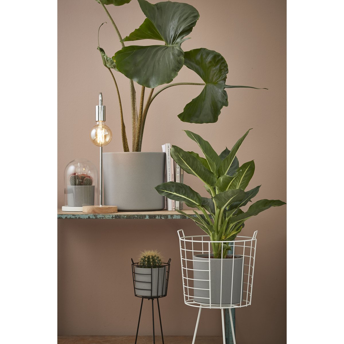 Hella Glazen Stolp - H38 x Ø23 cm - Transparant, Wit