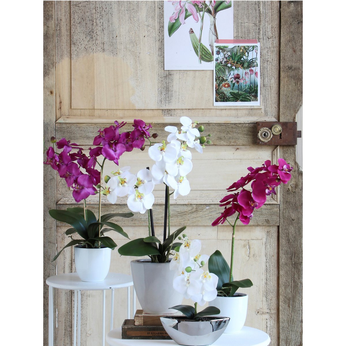 Phalaenopsis Kunstplant in Bloempot Tusca - H66 x Ø38 cm - Paars
