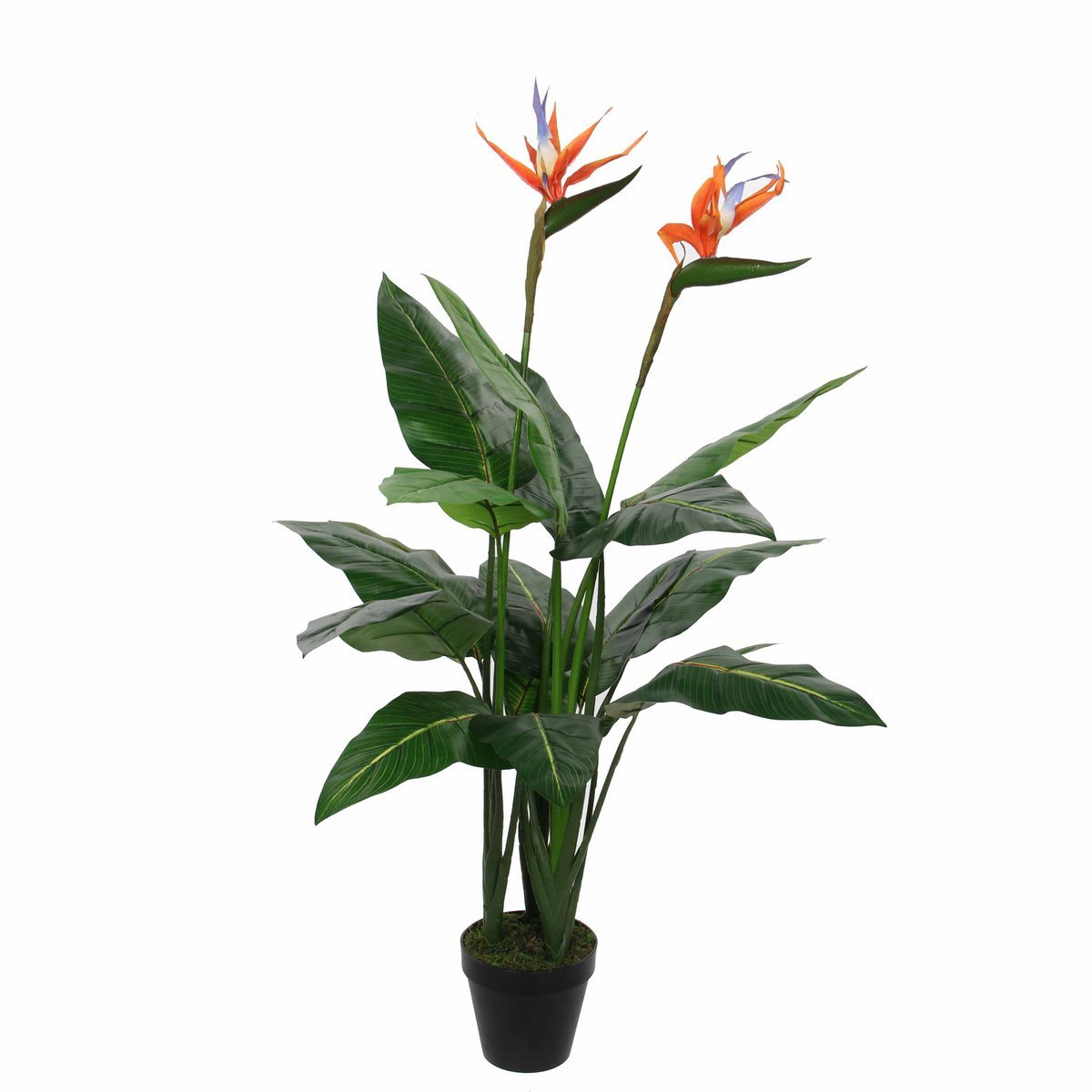 Strelitzia Kunstplant - H110 x Ø60 cm - Groen