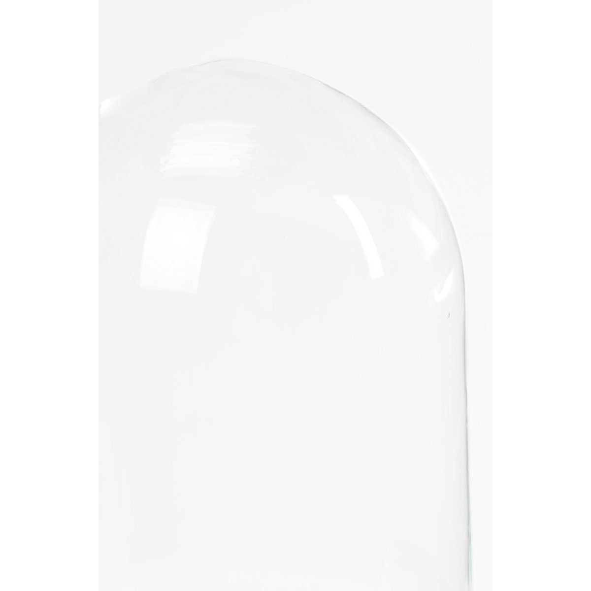 Hella Glazen Stolp - H38 x Ø23 cm - Transparant, Zwart