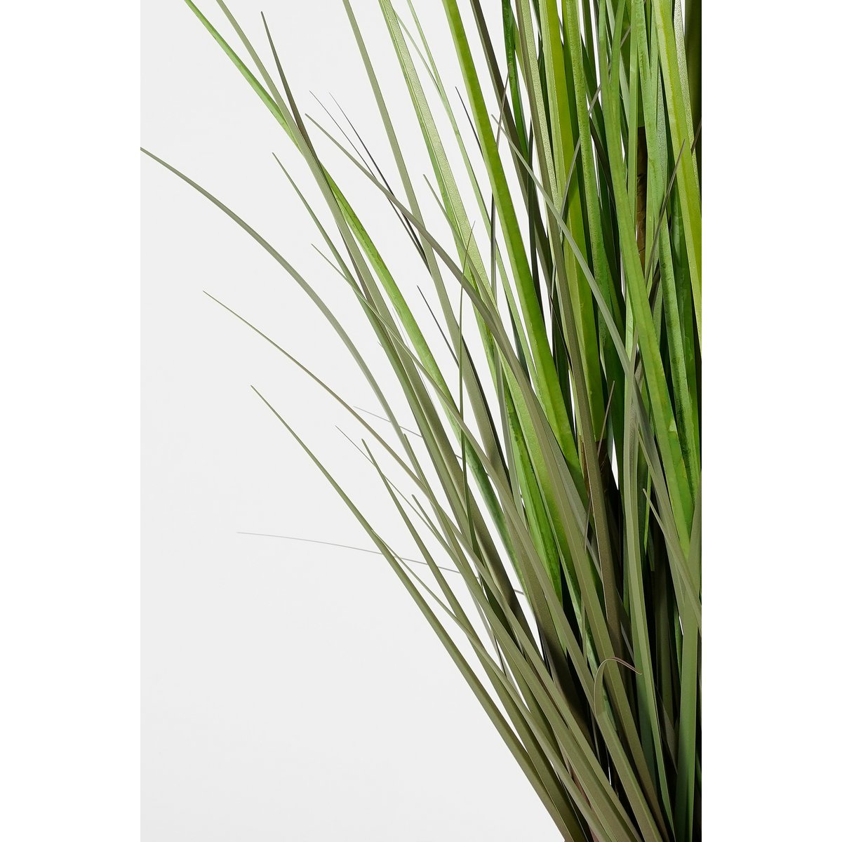 Pampasgras Kunstplant - H120 x Ø40 cm - Groen