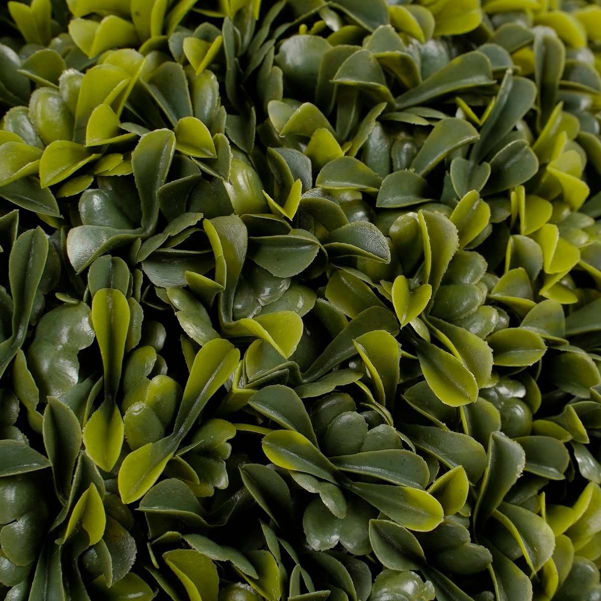 Theeplant Bol Kunstplant voor Buiten - Ø27 cm - Groen