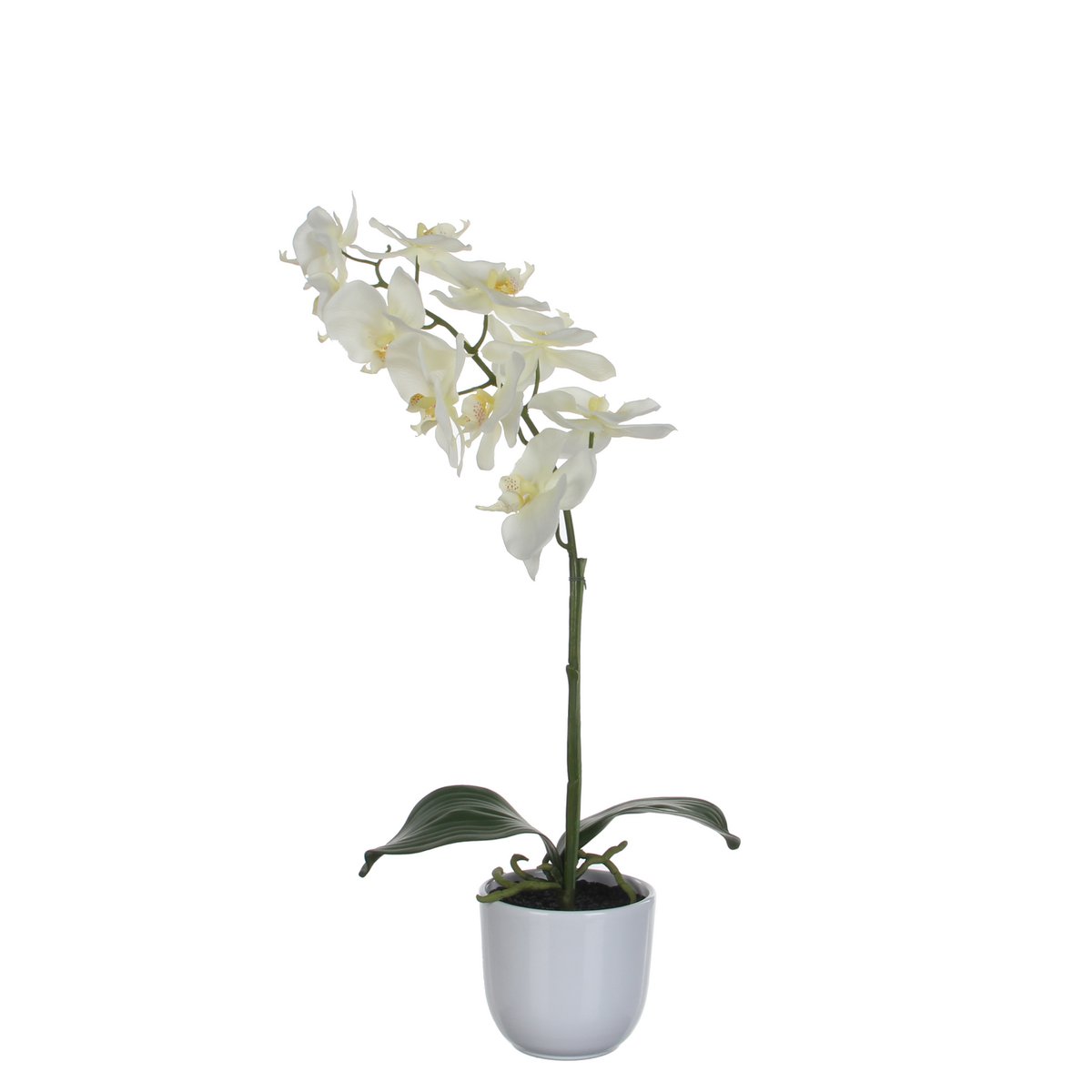 Phalaenopsis Kunstplant in Bloempot Tusca - H60 x Ø16 cm - Wit